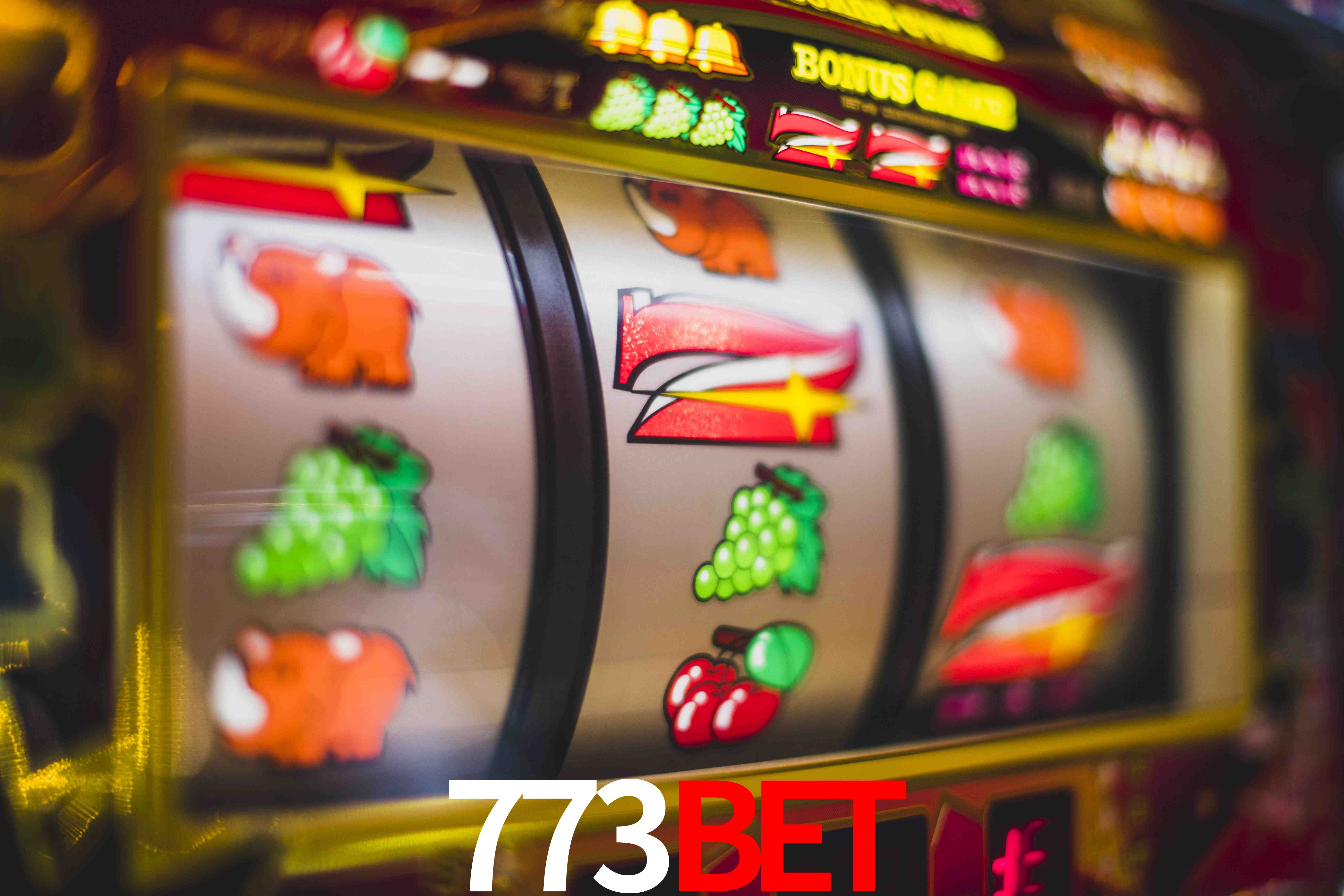Live Casino 773bet